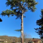 Travaux d’élagage réalisés près de Pamiers en Ariège