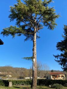 Travaux d’élagage réalisés près de Pamiers en Ariège