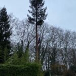 Abattage d’un arbre à Montgaillard en Ariège