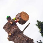 Élagage d'un arbre avec tronçonneuse en Haute-Garonne