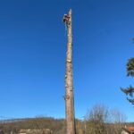 Démontage d’arbre en zone difficile à Varilhes