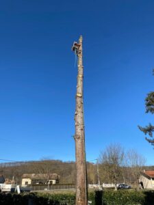 Démontage d’arbre en zone difficile à Varilhes