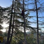 Élagueur professionnel en intervention à Castanet-Tolosan