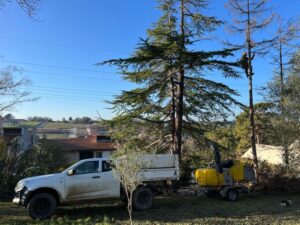 Élagueur en Lauragais